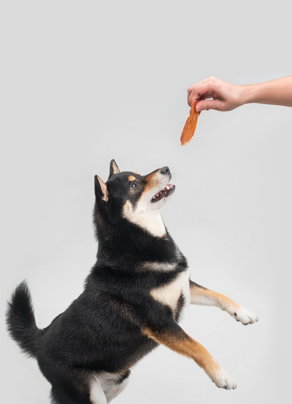 品牌故事